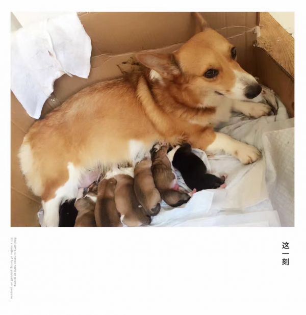 贝贝合照.JPG