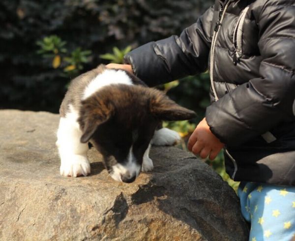 QQ图片20140102111244.jpg
