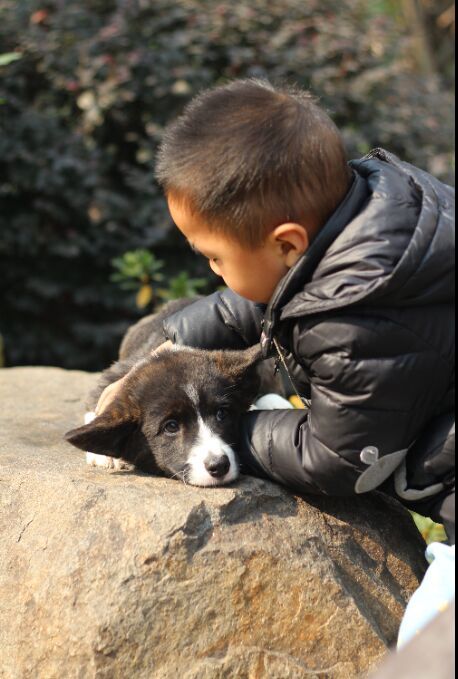 QQ图片20140102111249.jpg