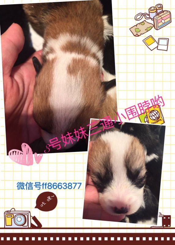 QQ图片20170102185226.jpg