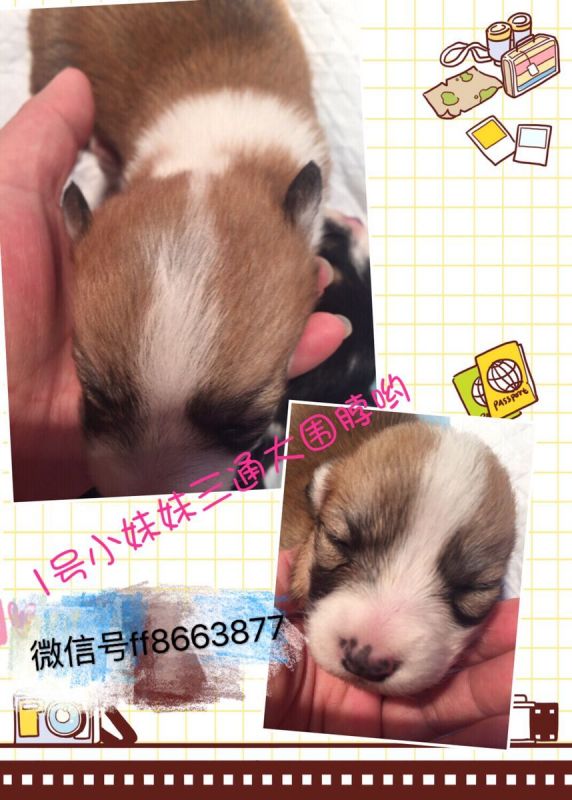 QQ图片20170102185239.jpg