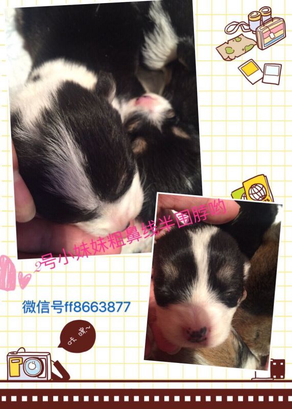 QQ图片20170102185312.jpg