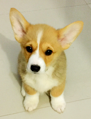 X7L1D9~EZDTGW}5J}{O$W{A.png