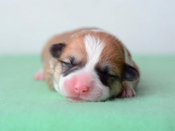 母3.png