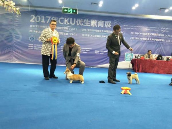 QQ图片20170107111009.jpg