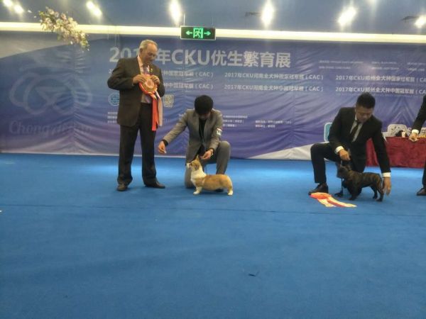 QQ图片20170107154641.jpg