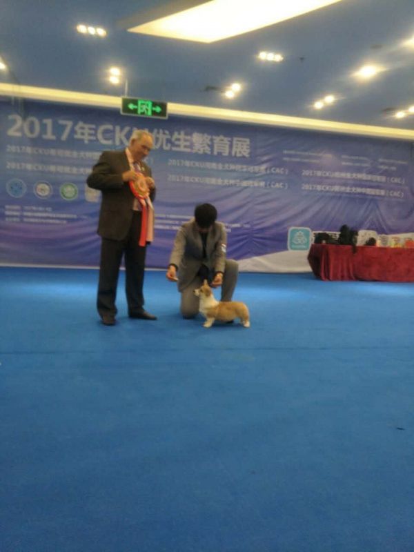 QQ图片20170107154647.jpg