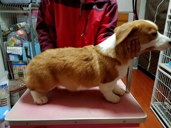 QQ图片20170107212754.jpg