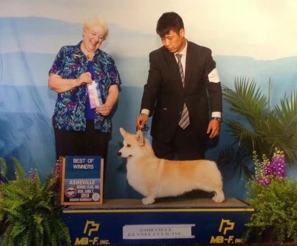 威图爸爸2.jpg