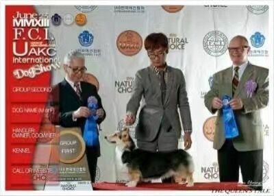 威图妈妈2.jpg