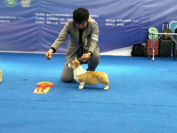 QQ图片20170109094314.jpg
