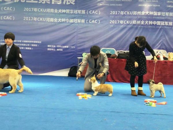 QQ图片20170109094319.jpg