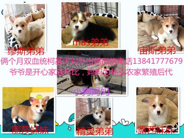 集体合照_副本.jpg