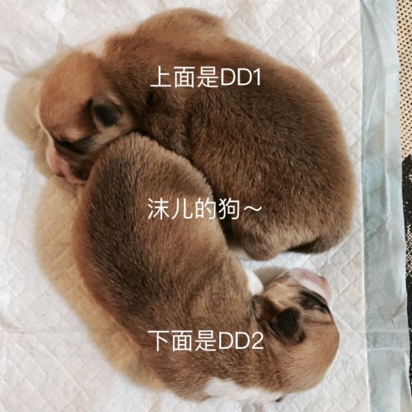 一周大的时候