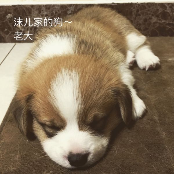 满月照