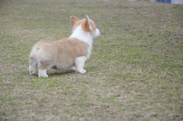 QQ图片20170109201210.jpg