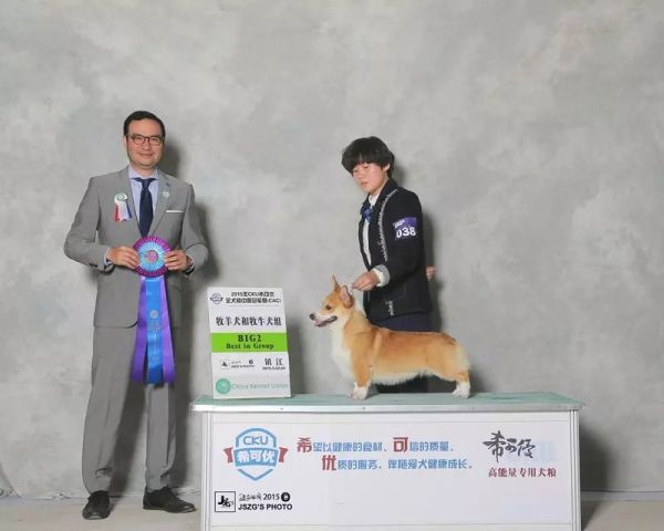 145031grcrgiz2cge2i0wt.jpg.thumb.jpg