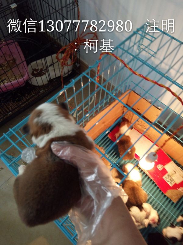 QQ图片20170111145045.jpg