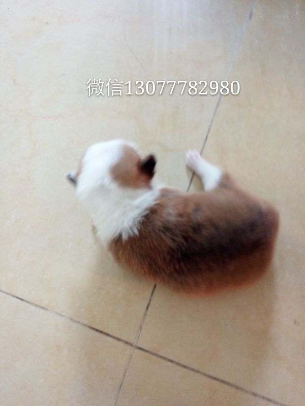 QQ图片20170111145428.jpg