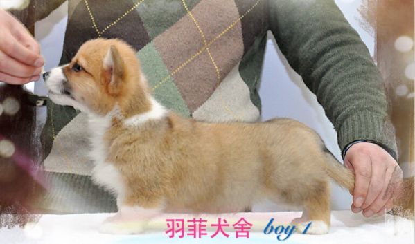 94FF073627A6BD57429AC38C1D6766DD.png