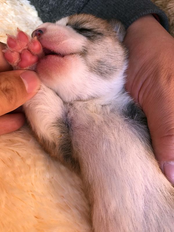 美星宝宝资料IMG_0764.jpg