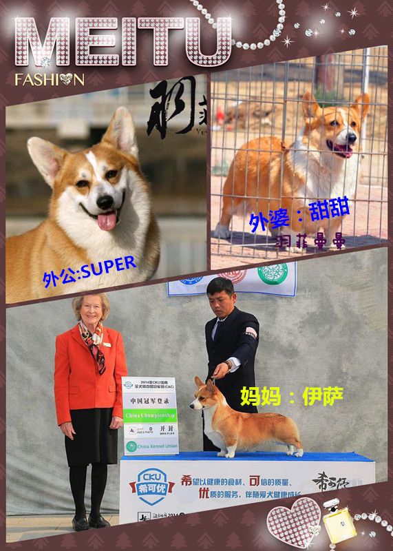 IMG_2736_副本.jpg