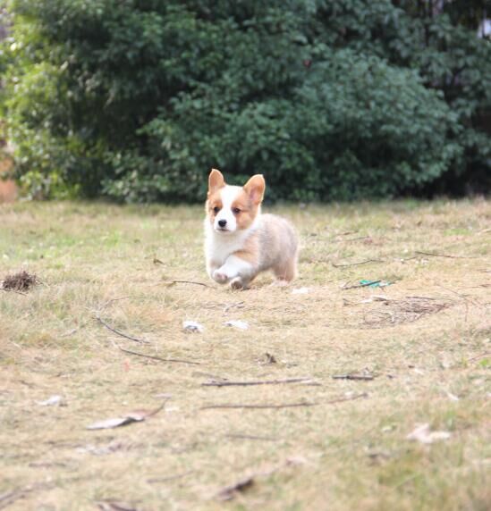 QQ图片20170112205652.jpg