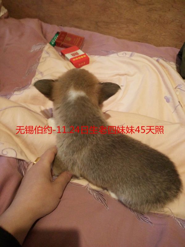 bb4442_副本.jpg
