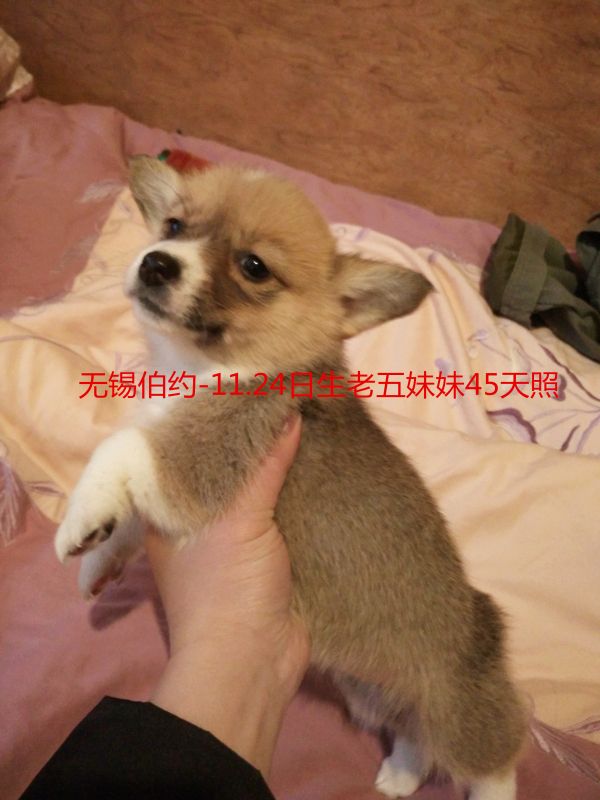 bb5552_副本.jpg