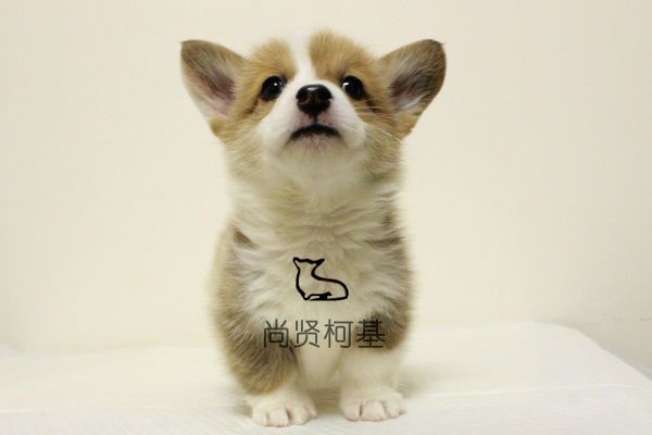 IMG_5907_副本_副本.jpg