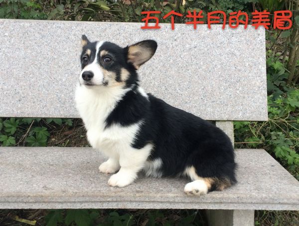 20170112 3MM 5月半龄 (25)_mh1484376243790.jpg