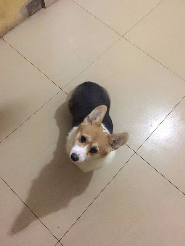 QQ图片20161230215232.jpg
