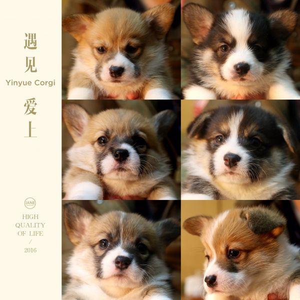 合照2