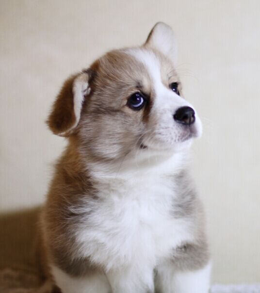 3妹.jpg