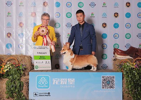 QQ图片20160927080243.jpg