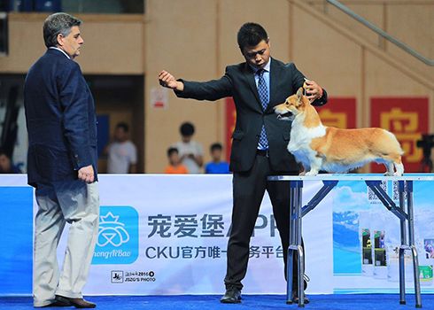 QQ图片20160927081235.jpg