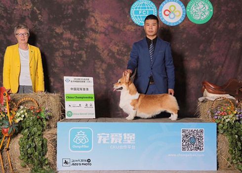 QQ图片20161229134256.jpg