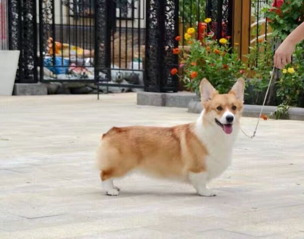91406