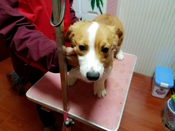 QQ图片20170107212746.jpg