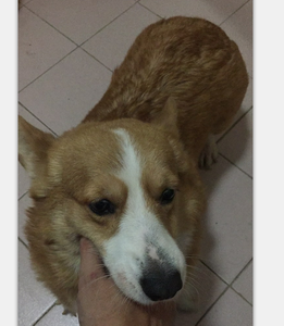 调整大小 母.png