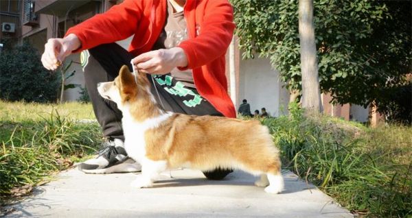 DSC_1041_看图王.jpg
