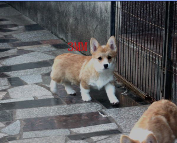 6.png