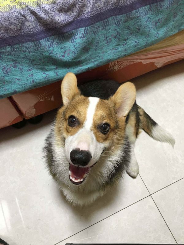 孩儿爹