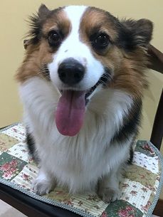 2017-01-28 174251.jpg