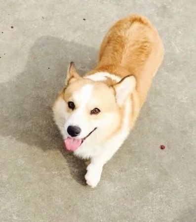 2016-12-07 132003.jpg