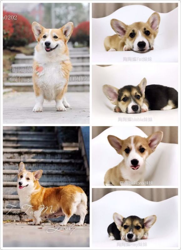 11.13.jpg