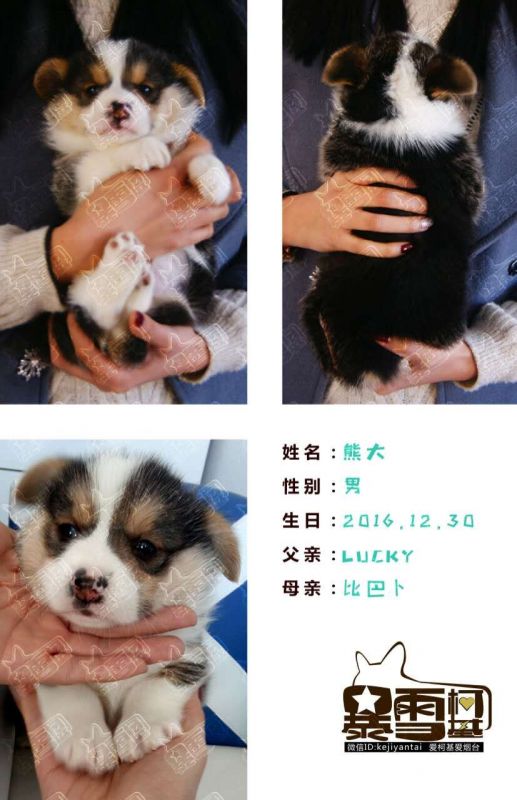 QQ图片20170202192405.jpg