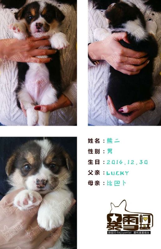 QQ图片20170202192434.jpg