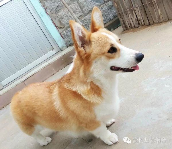 QQ图片20170202192438.jpg