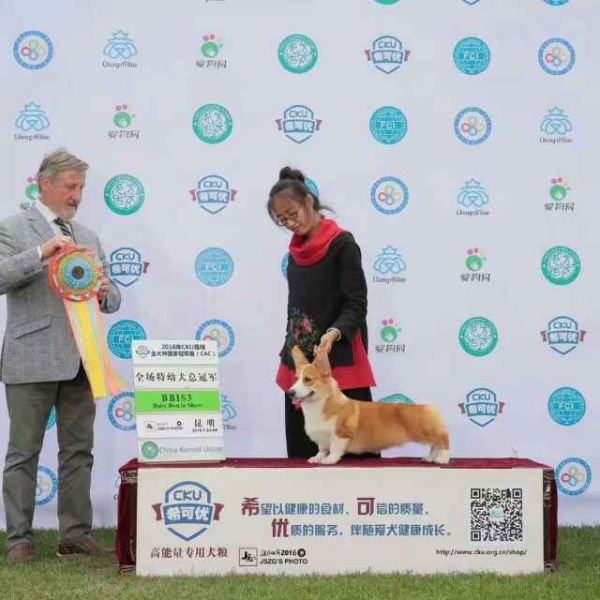 QQ图片20170203162049.jpg